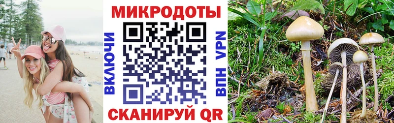 Галлюциногенные грибы прущие грибы  закладка  Ковылкино 