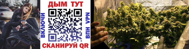 где продают наркотики  Ковылкино  Канабис Bruce Banner 